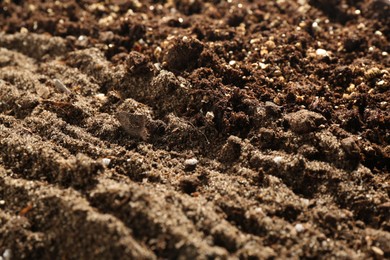 Photo of Texture of fresh soil as background, closeup