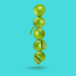 Image of Fresh whole lime falling on light blue background