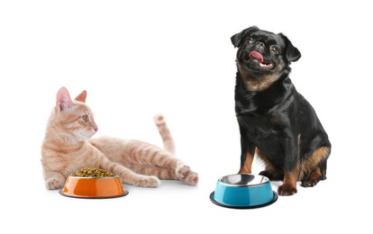 Image of Cat with bowl full of pet food and dog on white background