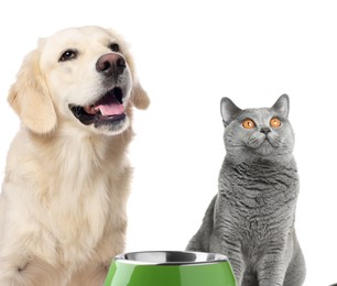 Image of Cat and dog with empty bowl on white background. Pet food