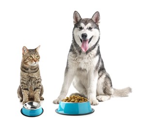 Image of Dog with bowl full of pet food and cat with empty one on white background