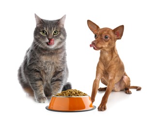 Image of Cat and dog with bowl full of pet food on white background