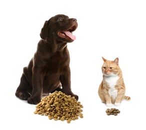 Image of Cat and dog near piles of pet food on white background