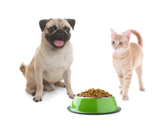 Image of Cat and dog with bowl full of pet food on white background