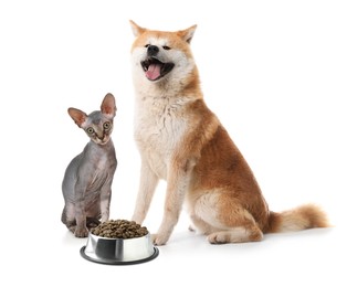 Image of Cat and dog with bowl full of pet food on white background