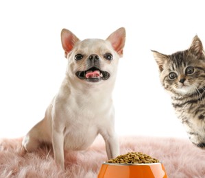 Image of Cat and dog with bowl full of pet food on white background