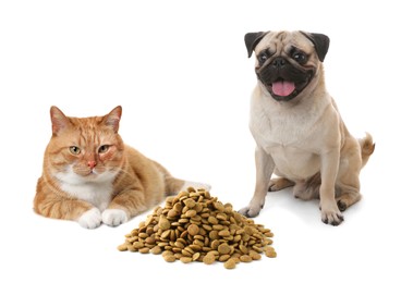 Image of Cat and dog near pile of pet food on white background