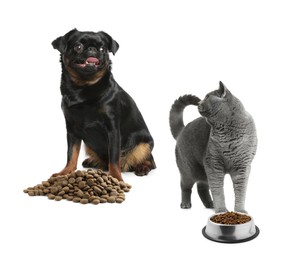 Image of Cat, dog and pet food on white background