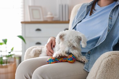 Photo of Cute dog playing with toy on owner's knees at home, closeup and space for text. Adorable pet