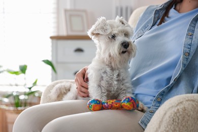 Photo of Cute dog with toy on owner's knees at home, closeup. Adorable pet