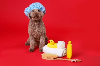 Photo of Cute dog with shower cap and other bath accessories on red background