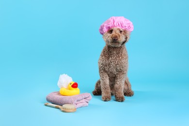 Photo of Cute dog with shower cap and other bath accessories on light blue background