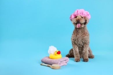 Photo of Cute dog with shower cap and other bath accessories on light blue background, space for text