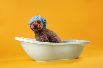 Photo of Cute dog with shower cap in small bathtub on orange background