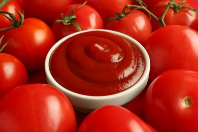 Photo of Ketchup in bowl and fresh tomatoes, closeup