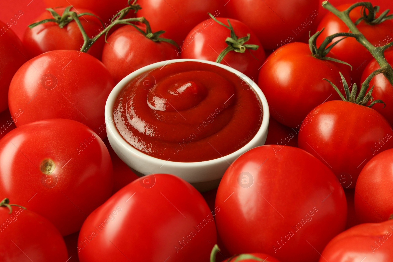 Photo of Ketchup in bowl and fresh tomatoes, closeup