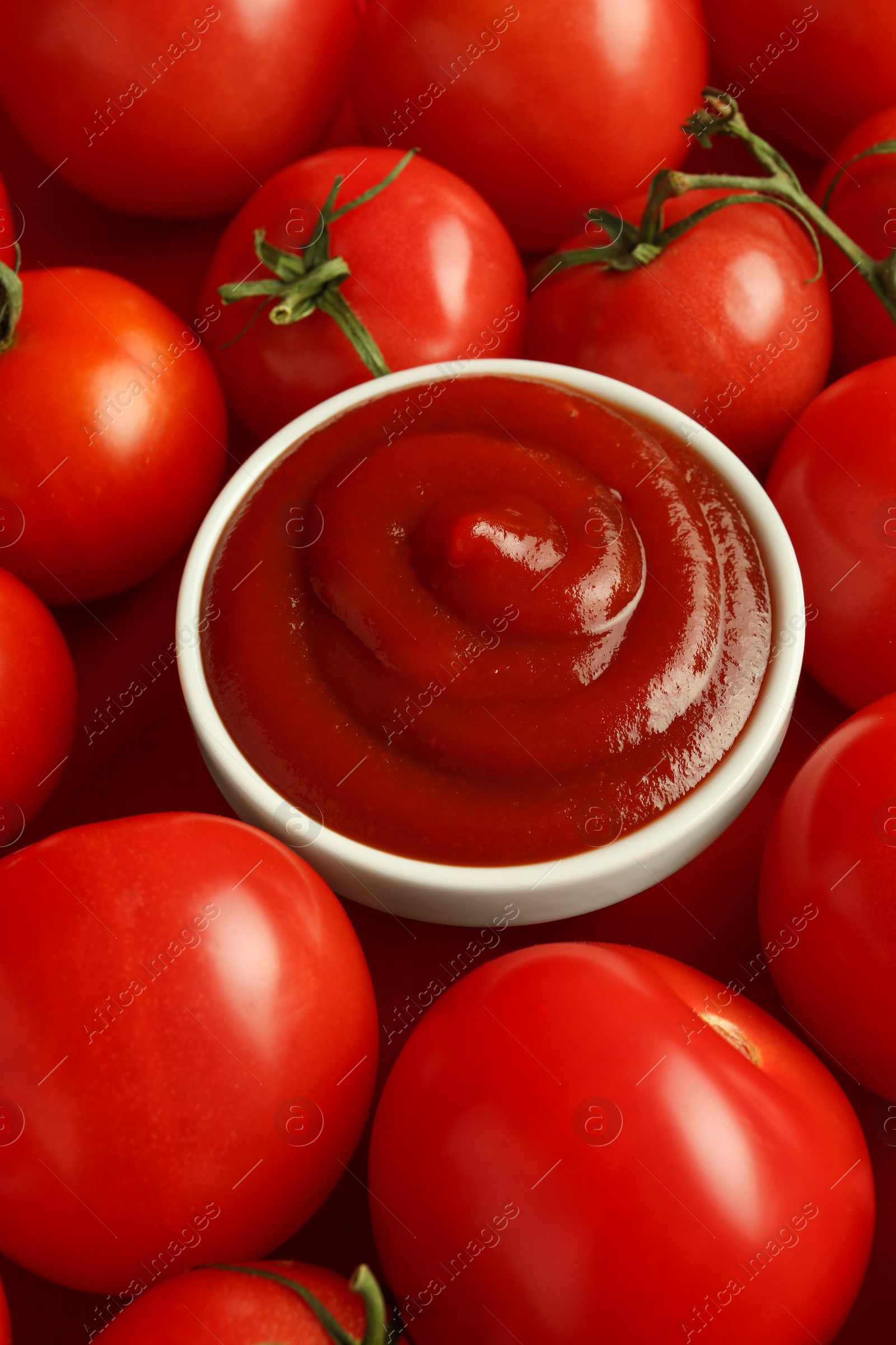 Photo of Ketchup in bowl and fresh tomatoes, closeup