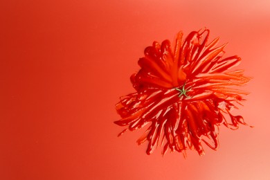 Photo of Slathered ketchup as smashed tomato on red background, top view. Space for text