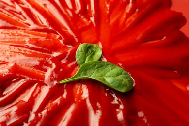 Photo of Tasty ketchup and basil on red background, closeup