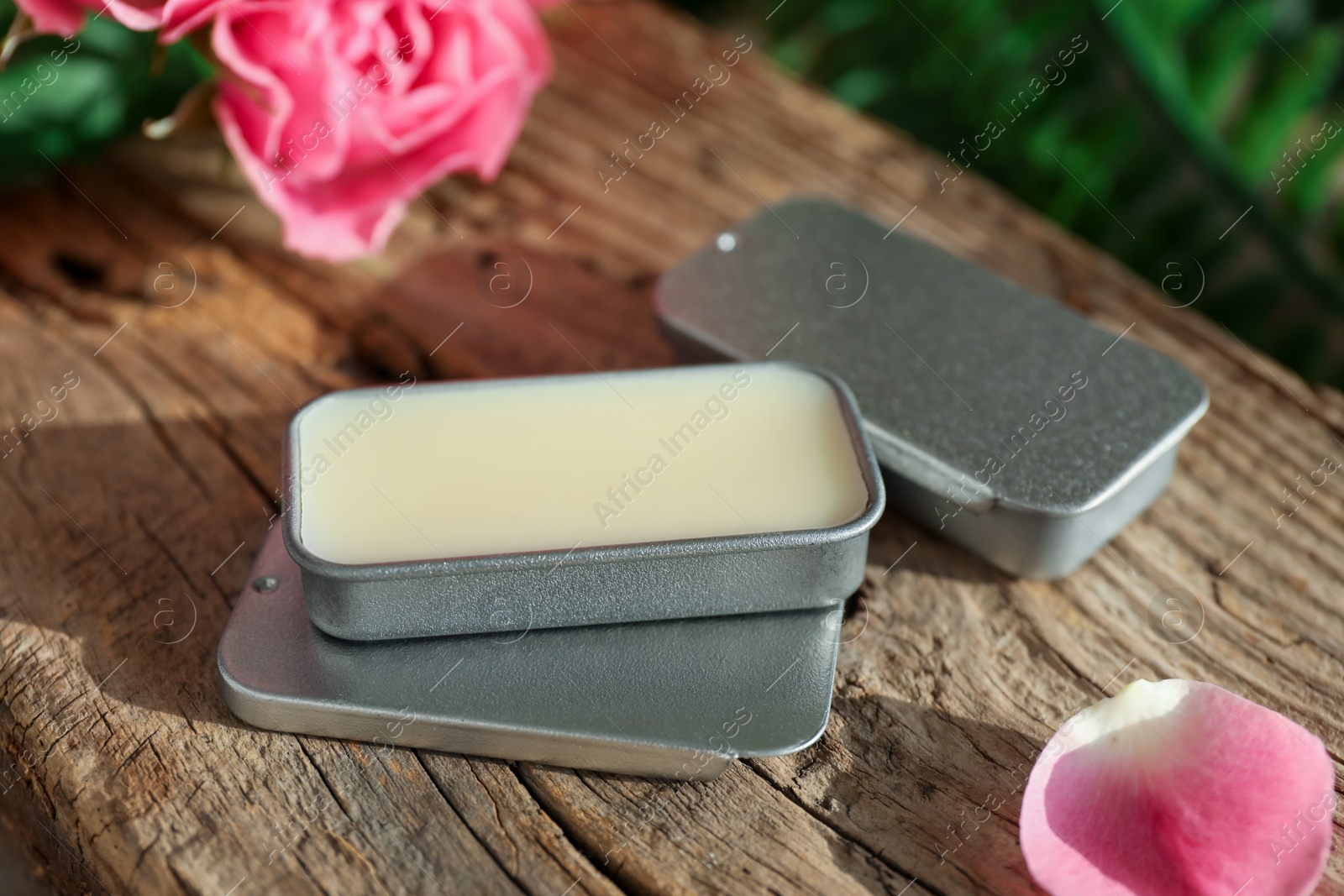 Photo of Natural solid perfume and pink roses on wood, closeup