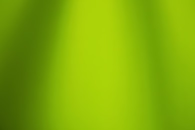 Photo of Green gradient background. Abstract color backdrop for design