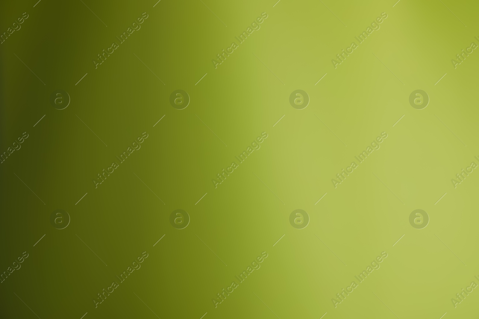 Photo of Olive gradient background. Abstract color backdrop for design