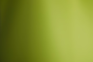 Photo of Olive gradient background. Abstract color backdrop for design