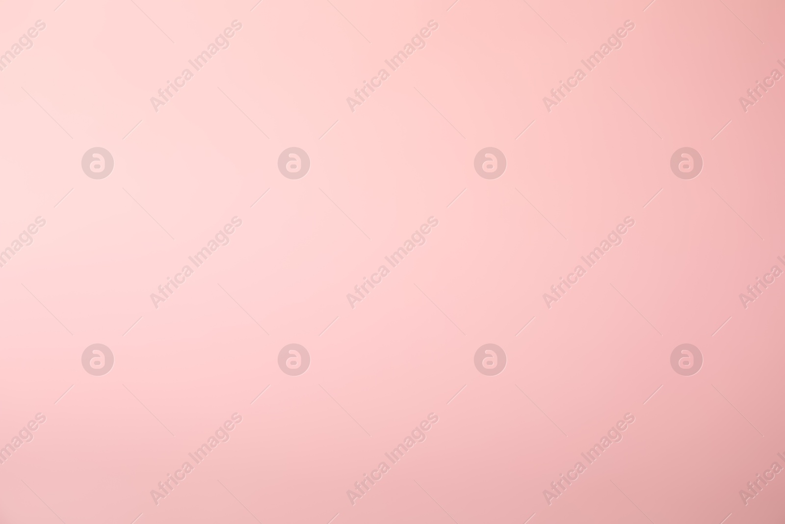 Photo of Pink background. Abstract color backdrop for design