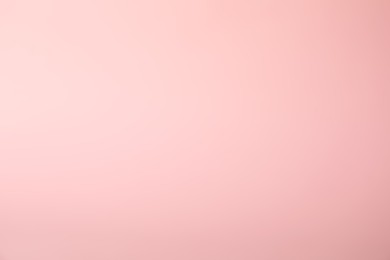 Photo of Pink background. Abstract color backdrop for design