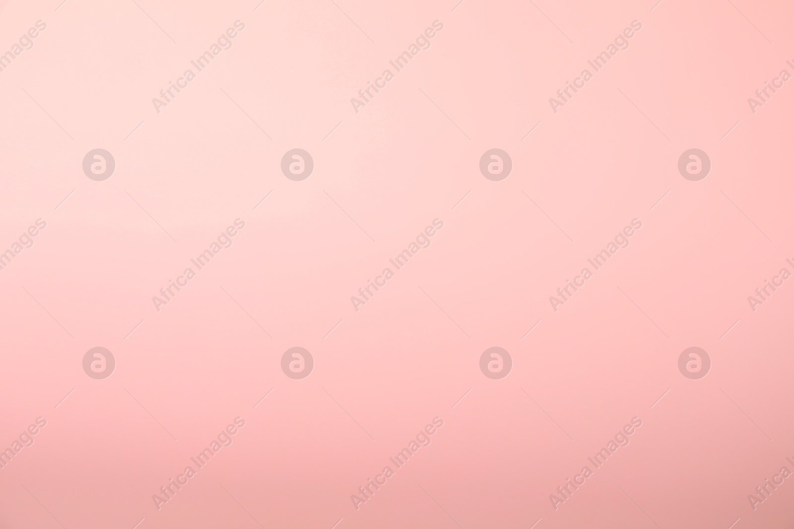 Photo of Light pink gradient background. Abstract color backdrop for design