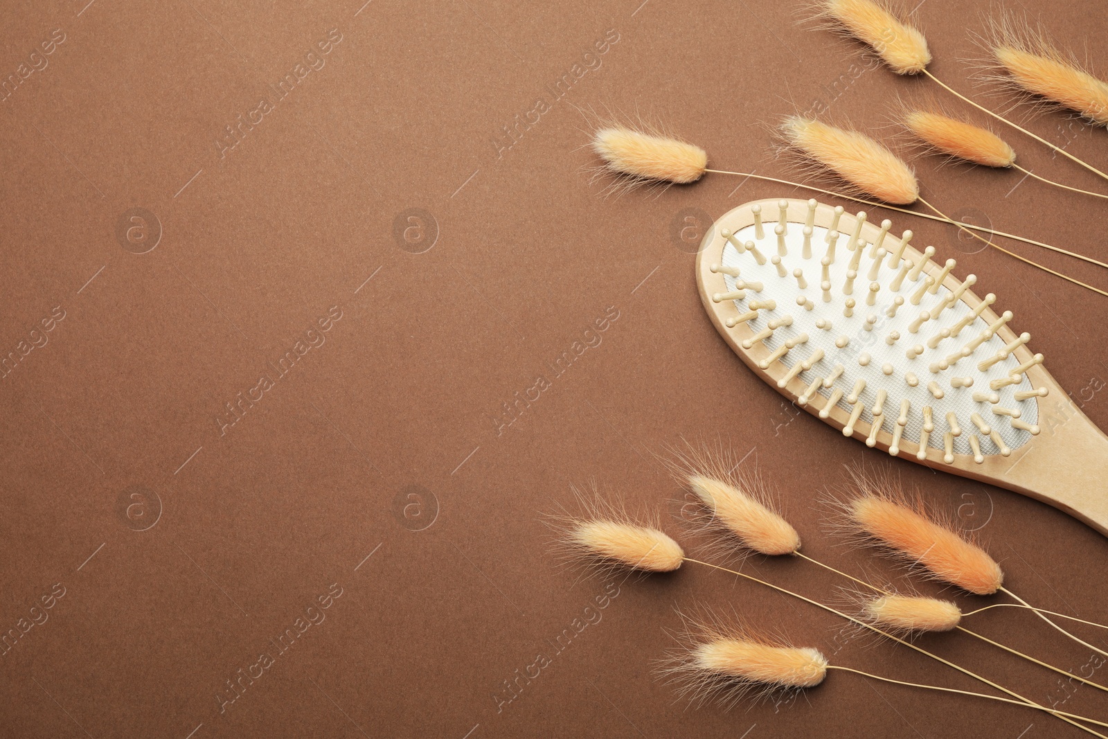 Photo of Wooden hair brush and spikes on brown background, top view. Space for text