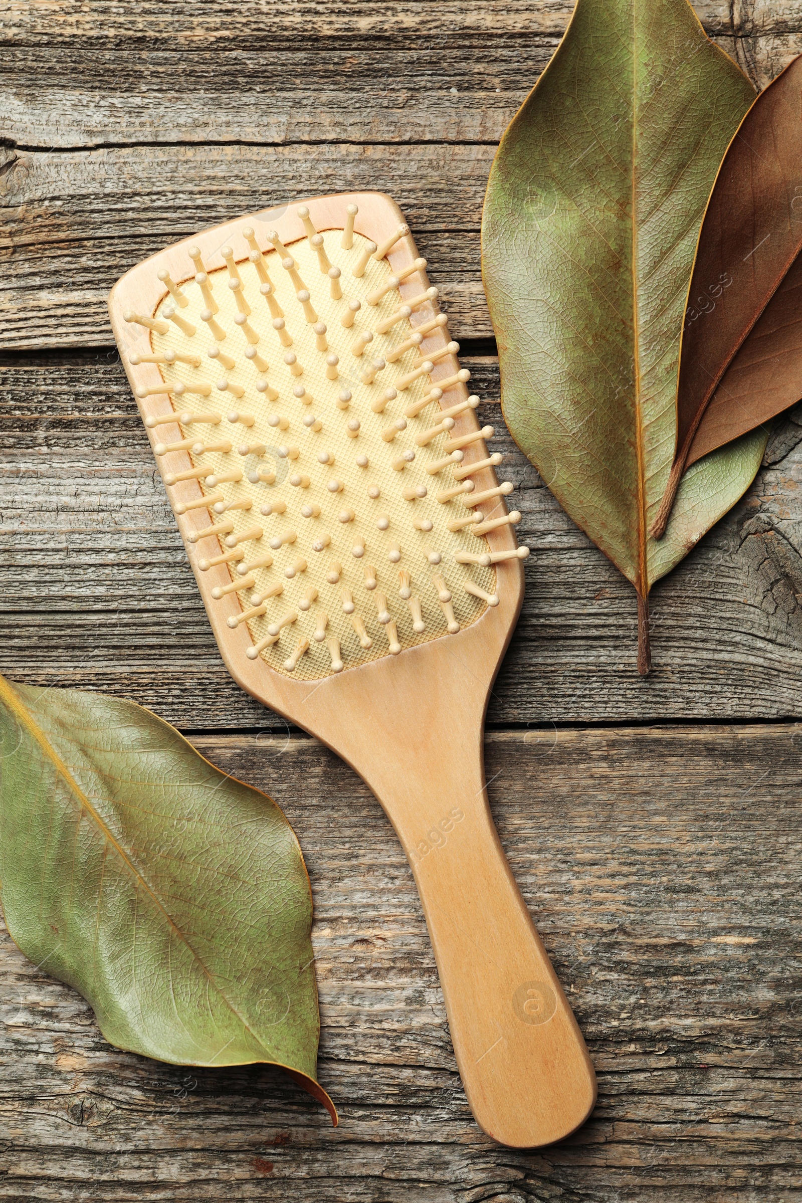 Photo of Hair brush and leaves on wooden background, top view