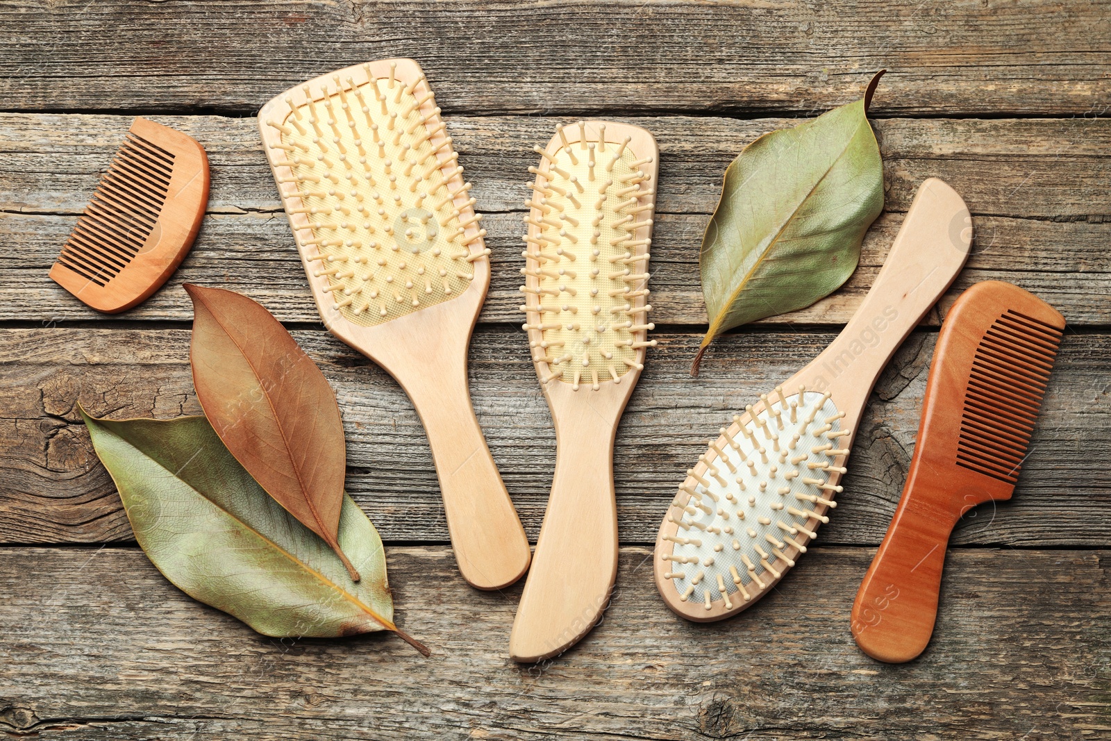 Photo of Hair brushes, combs and leaves on wooden background, flat lay