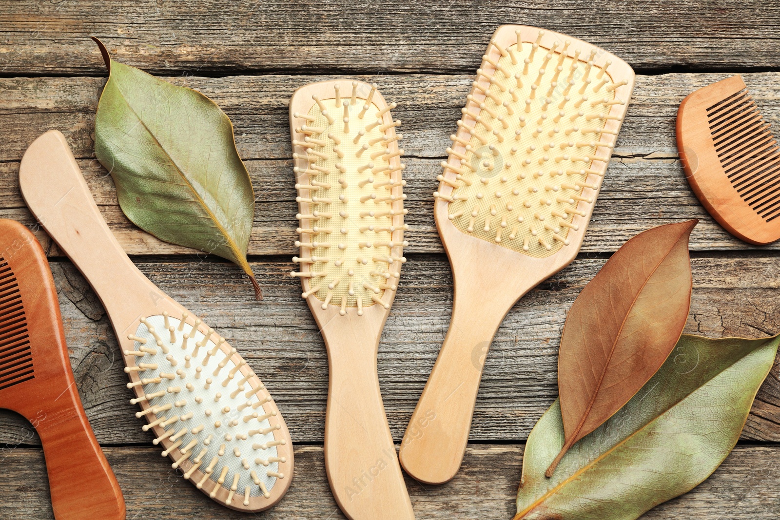 Photo of Hair brushes, combs and leaves on wooden background, flat lay