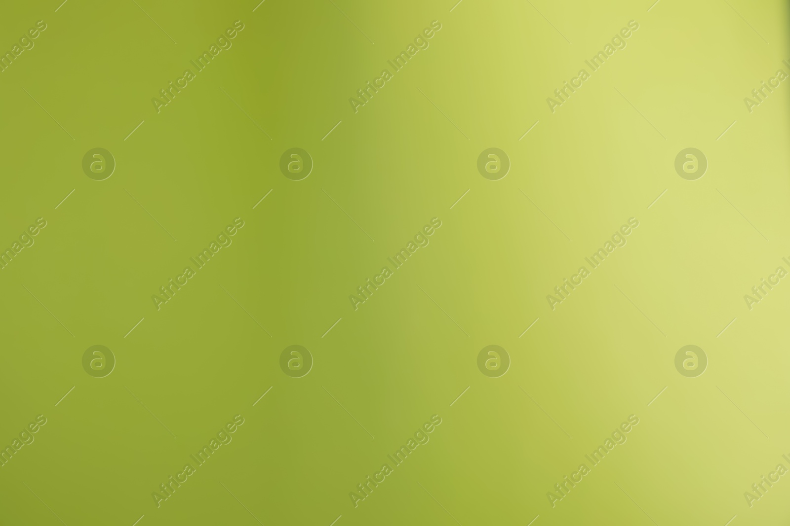 Photo of Olive gradient background. Abstract color backdrop for design