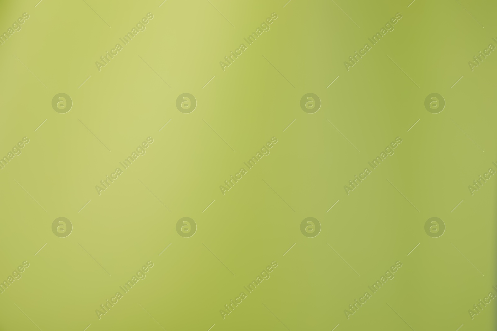 Photo of Olive gradient background. Abstract color backdrop for design