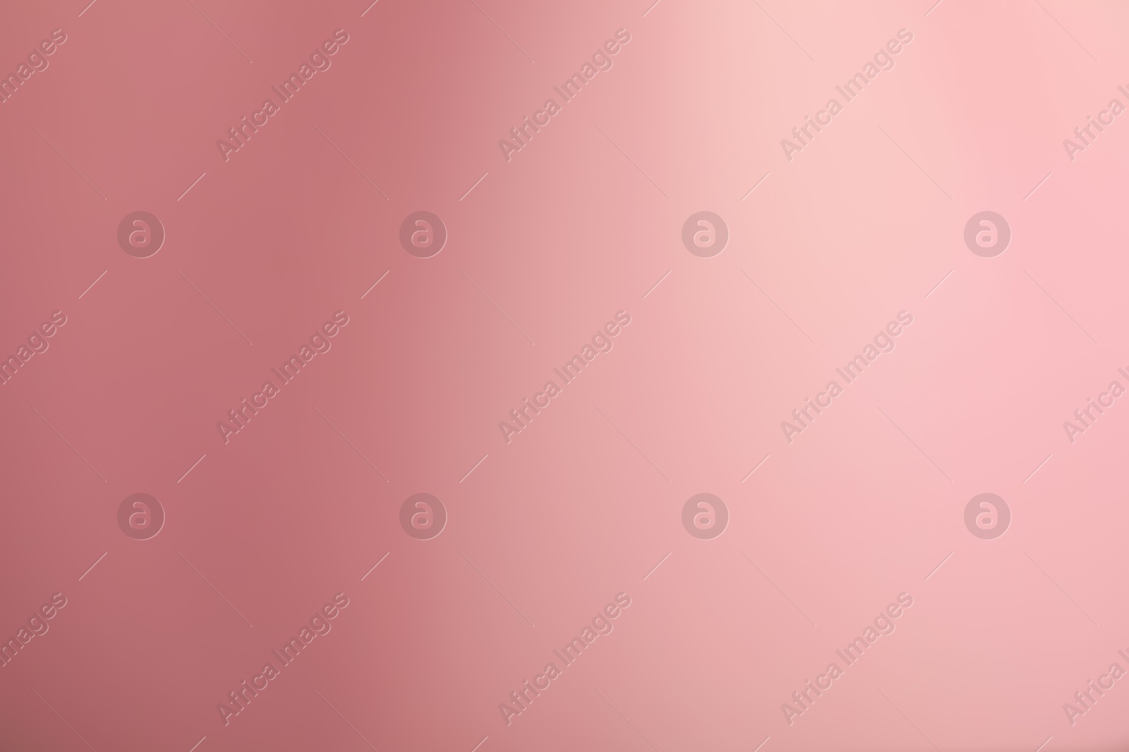 Photo of Pink gradient background. Abstract color backdrop for design