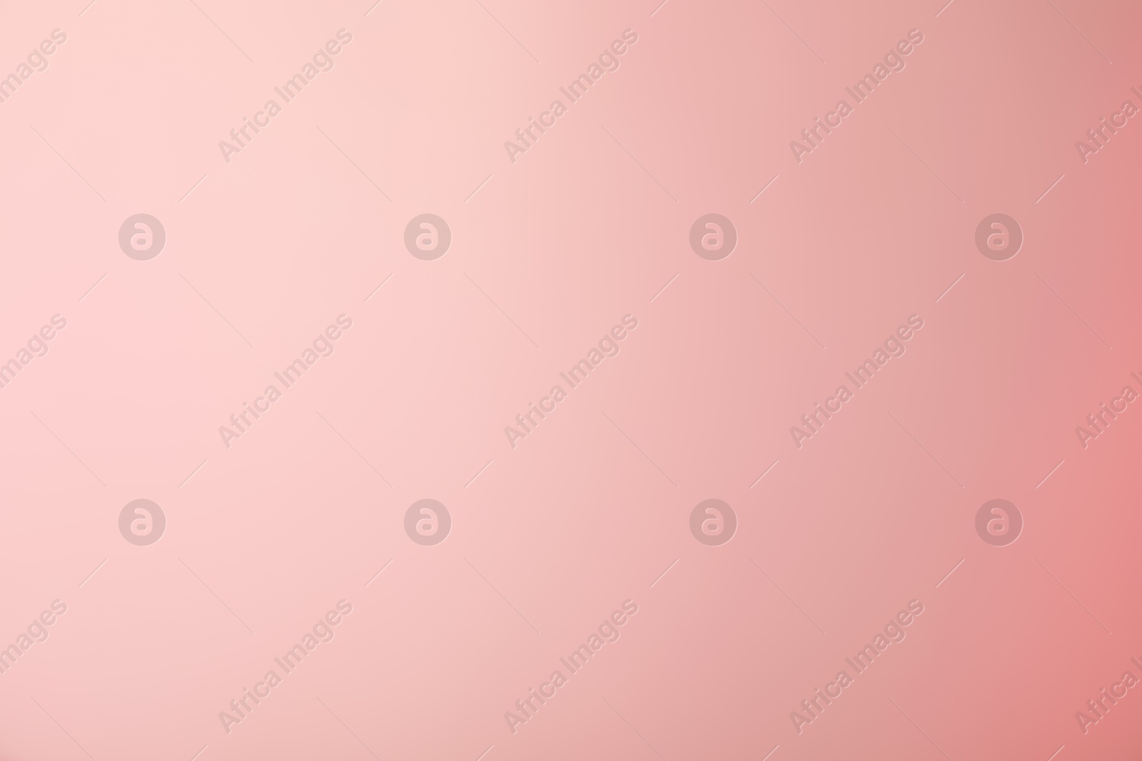 Photo of Pink gradient background. Abstract color backdrop for design