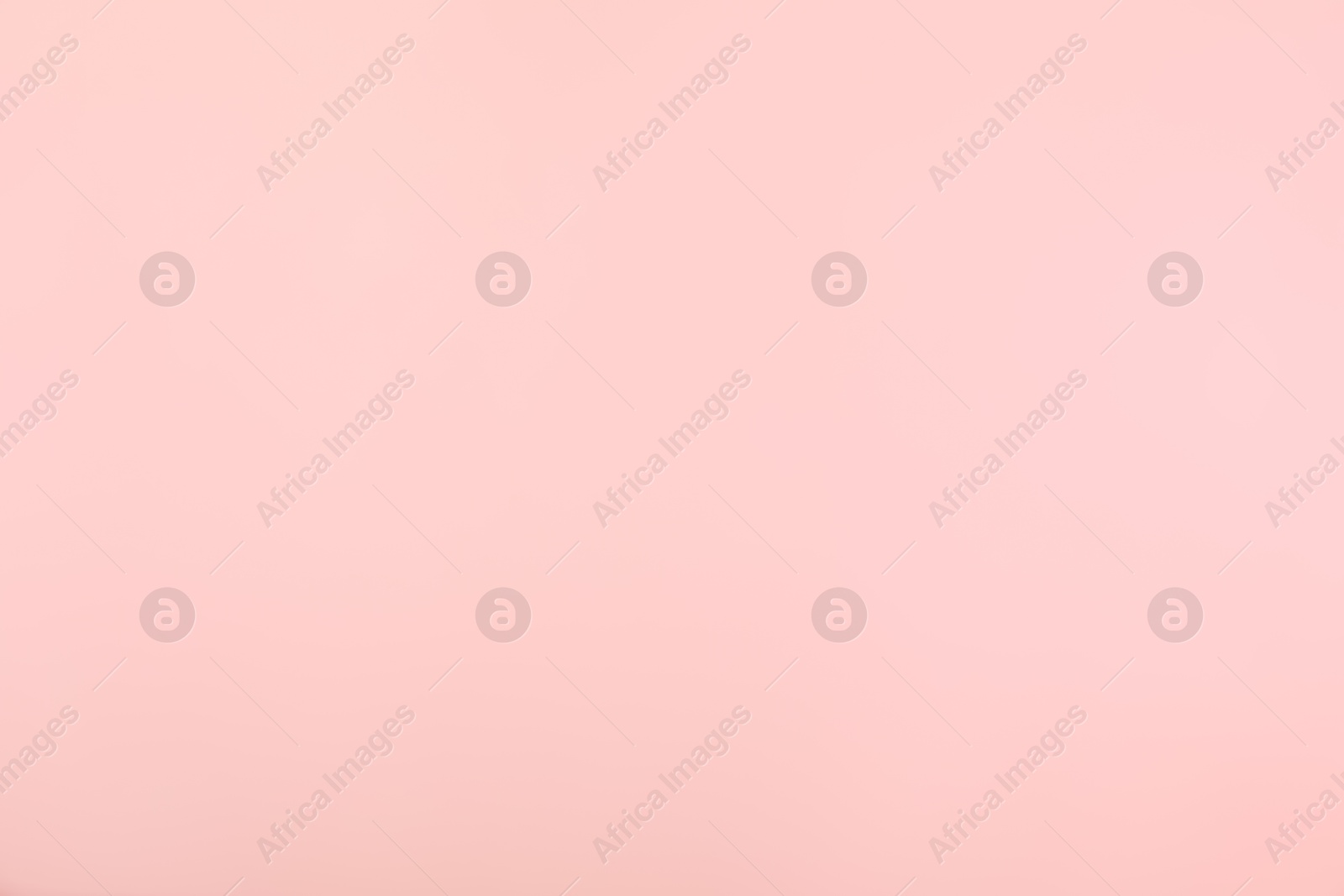 Photo of Pink background. Abstract color backdrop for design