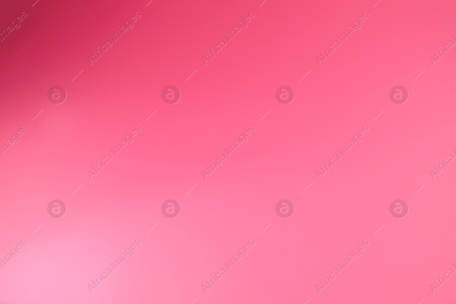 Photo of Bright pink gradient background. Abstract color backdrop for design