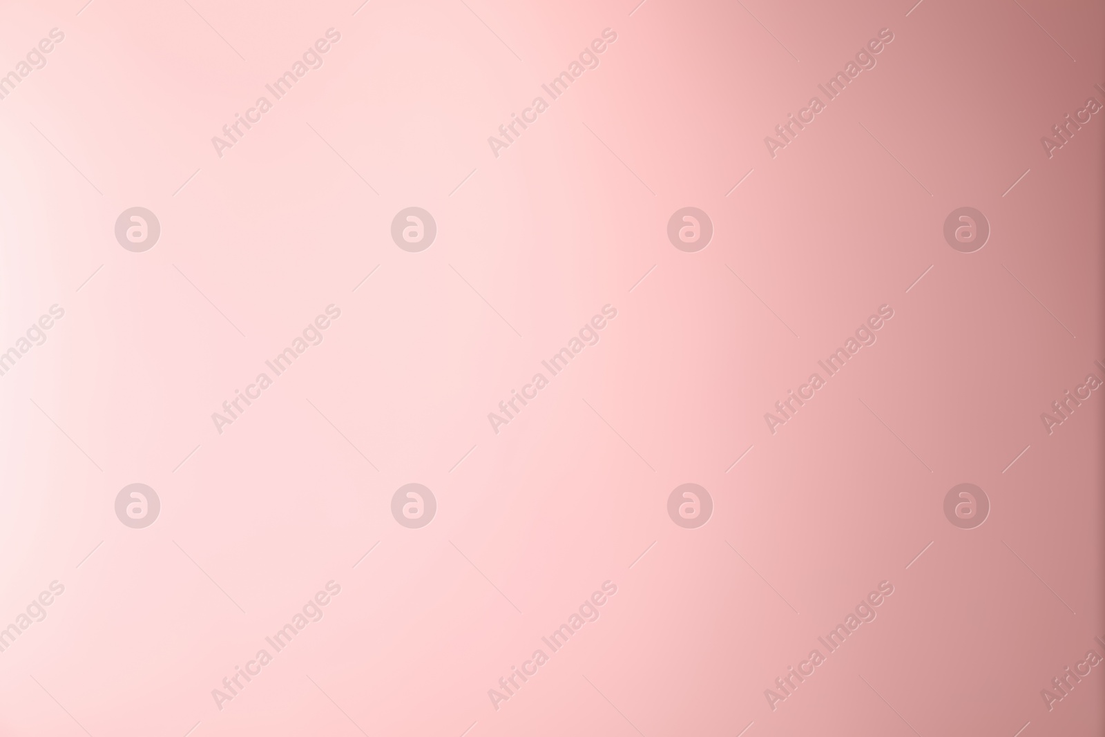 Photo of Light pink gradient background. Abstract color backdrop for design