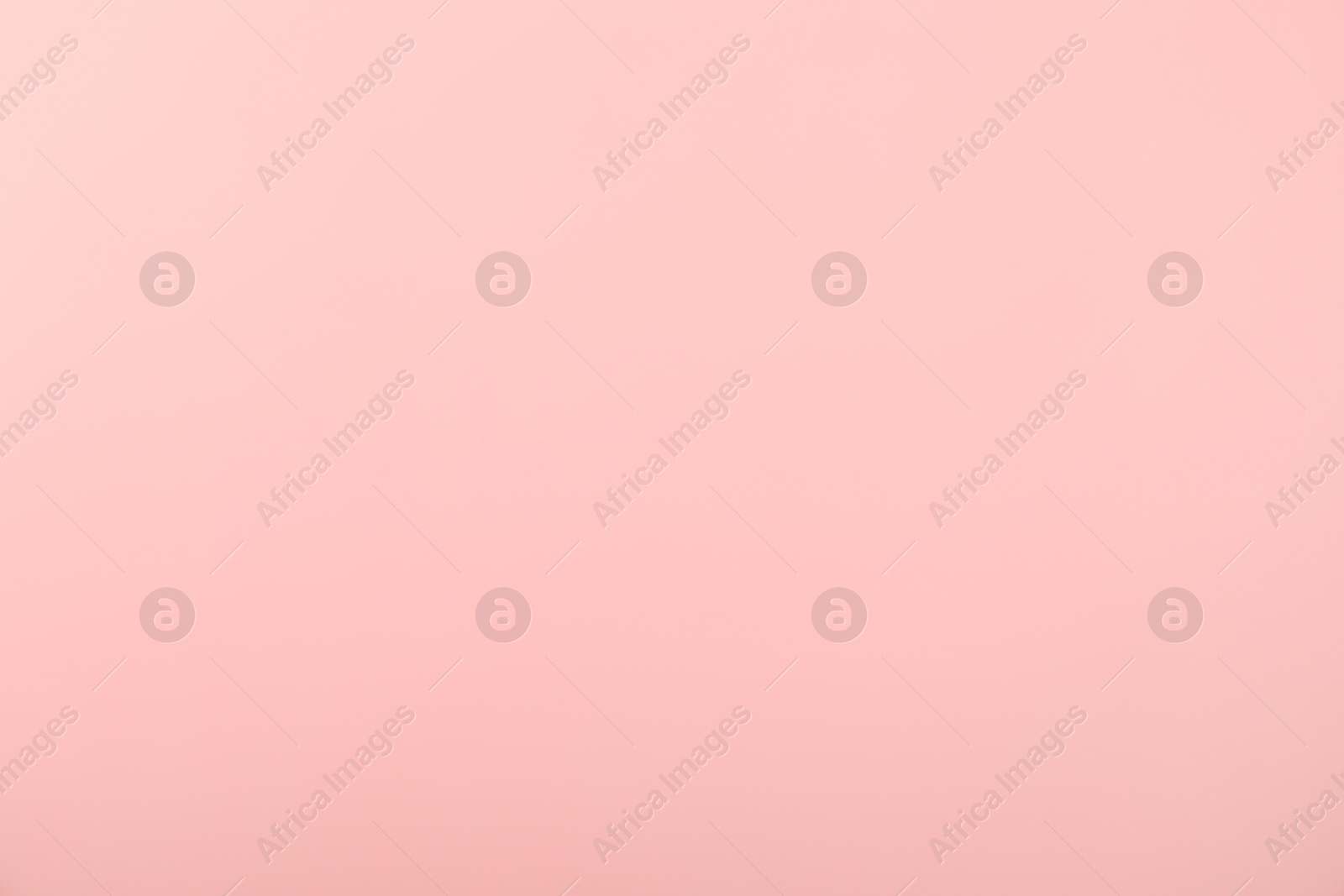 Photo of Pink background. Abstract color backdrop for design