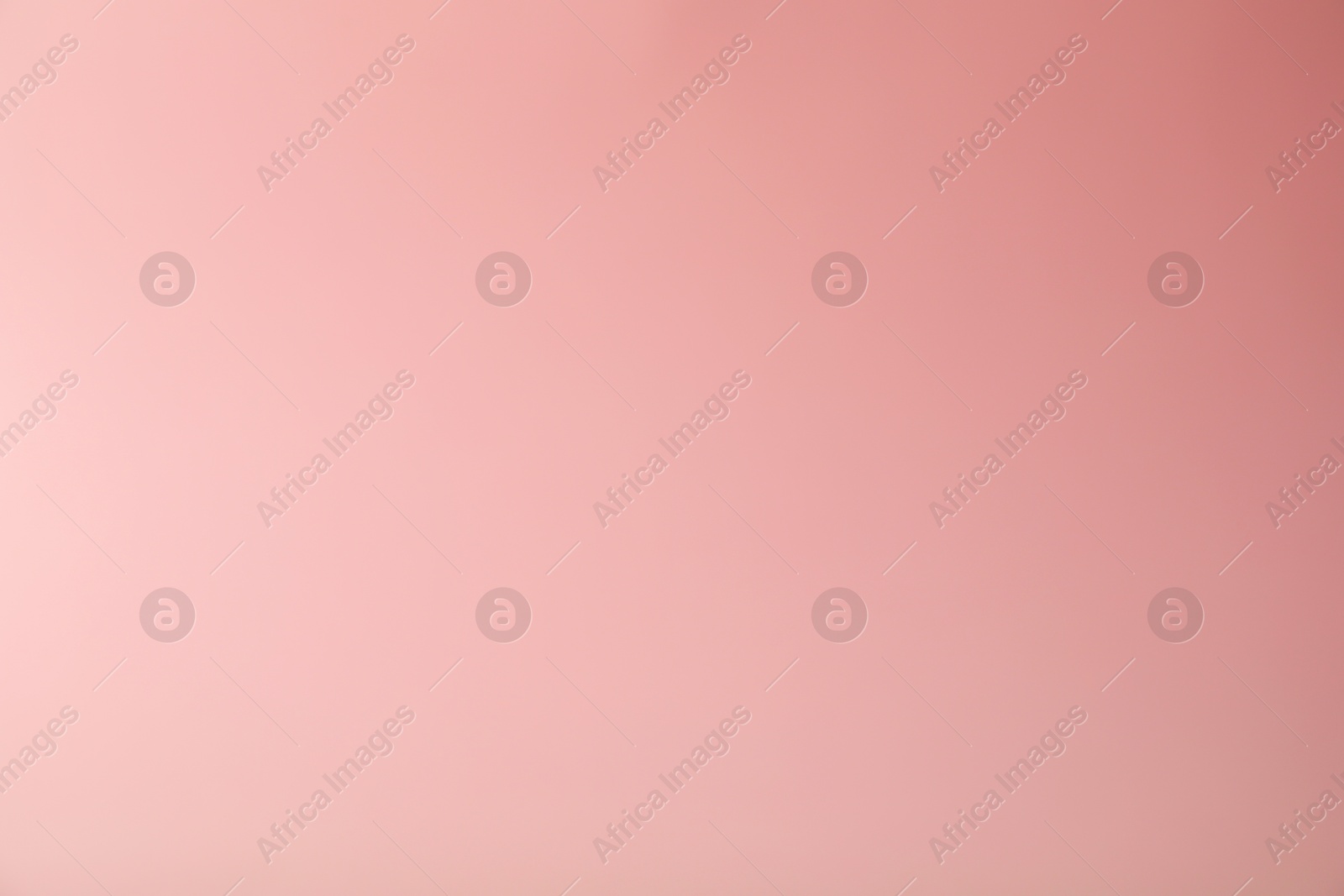 Photo of Pink gradient background. Abstract color backdrop for design