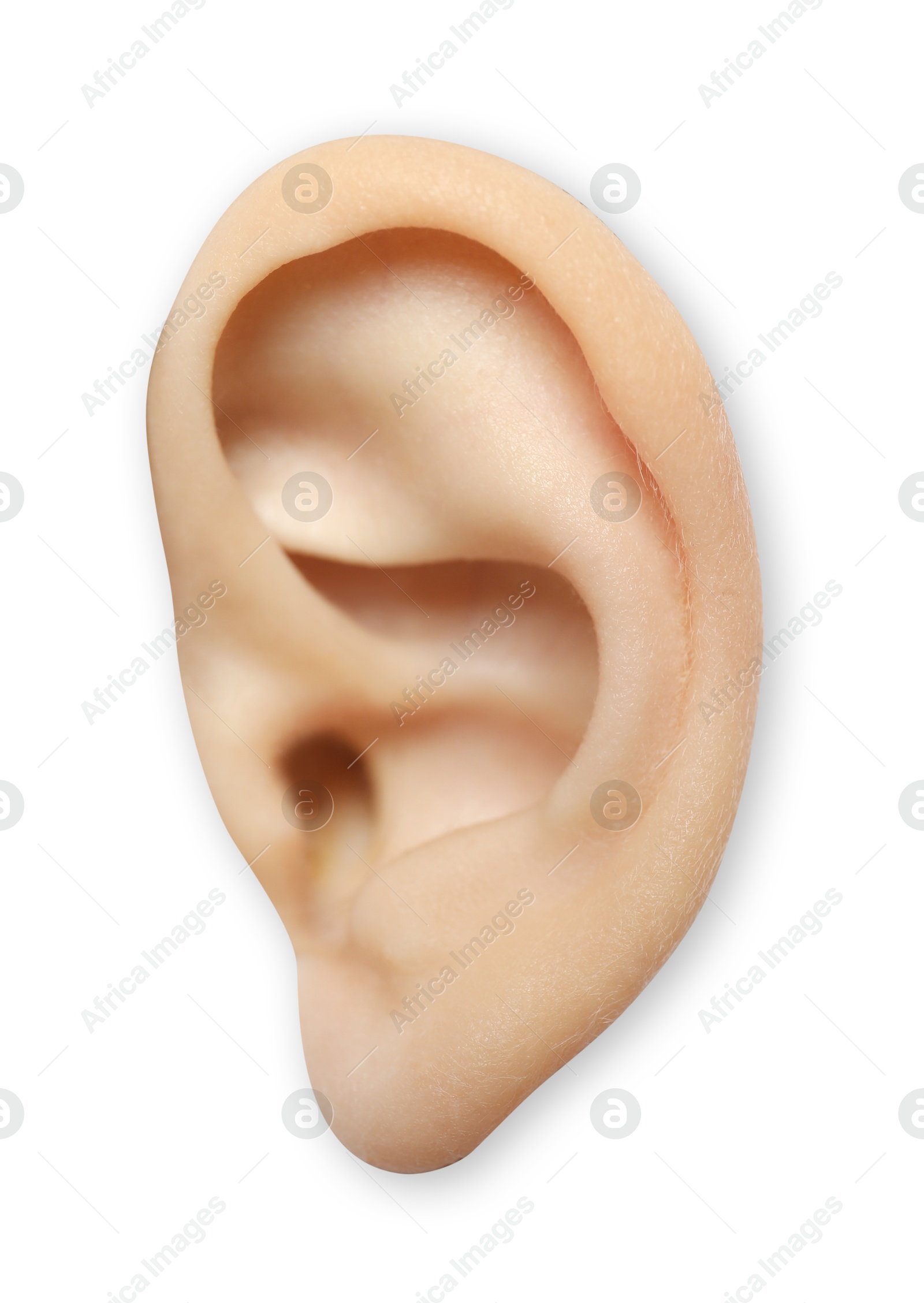 Photo of Human ear isolated on white, closeup view