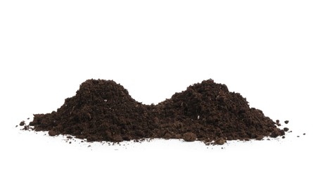 Photo of Piles of fresh soil isolated on white