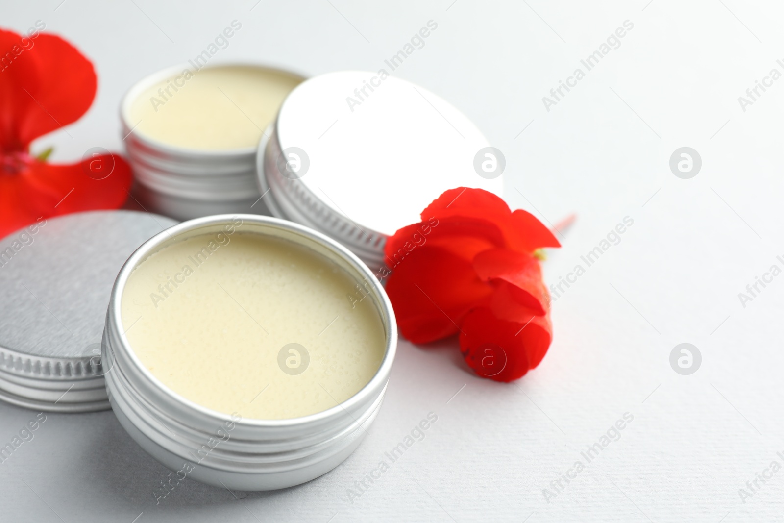 Photo of Lip balms and red flowers on white background, closeup