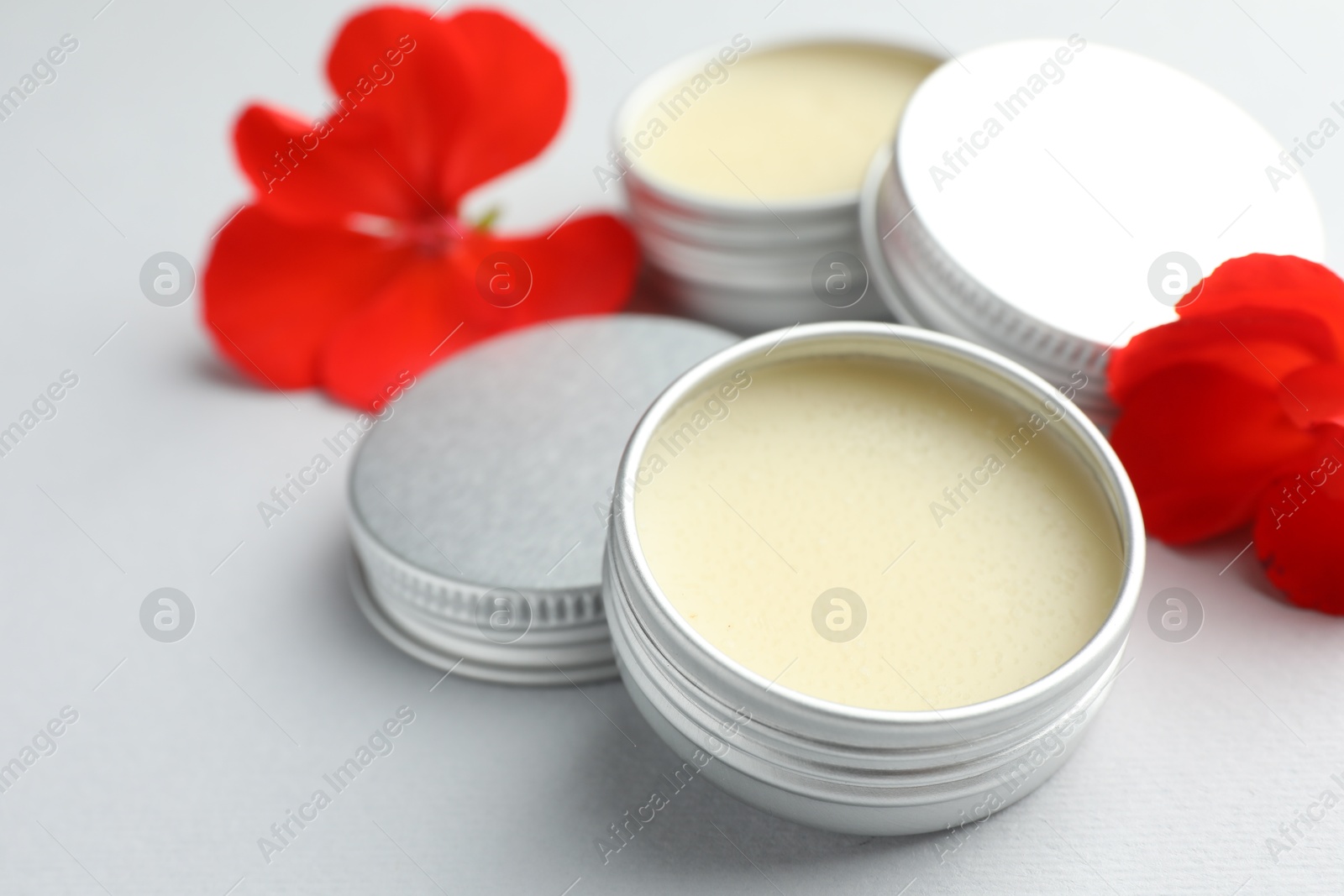 Photo of Lip balms and red flowers on white background, closeup