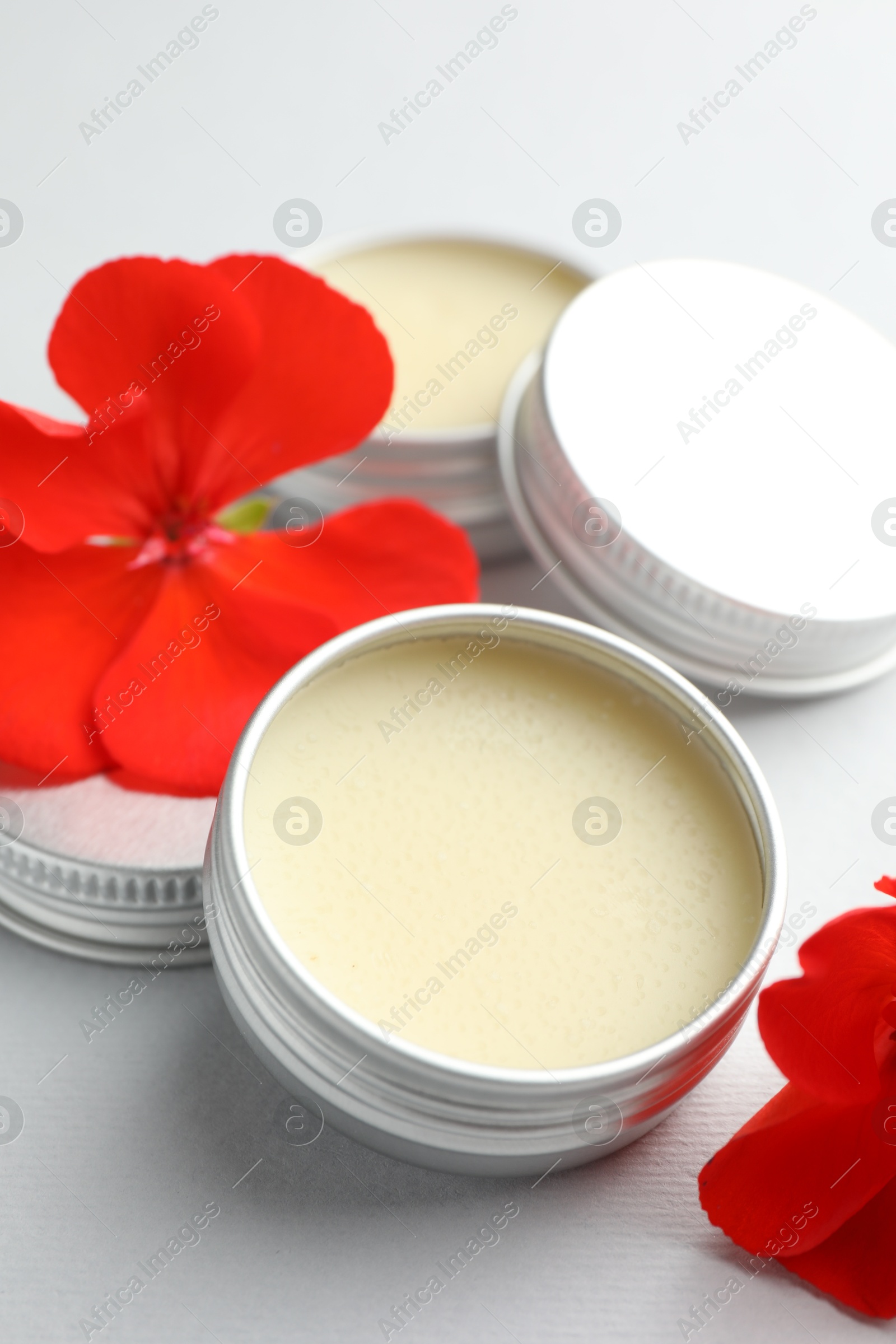 Photo of Lip balms and red flowers on white background, closeup