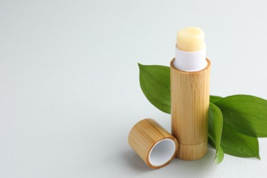 Photo of Lip balm and leaves on white background, closeup. Space for text