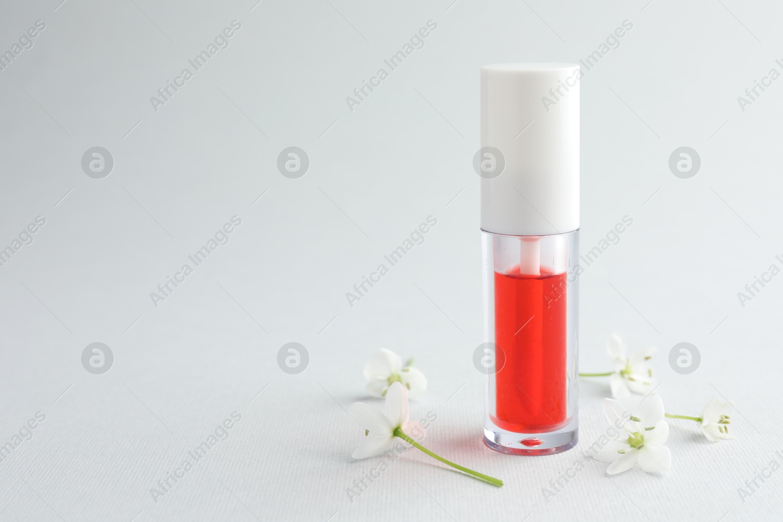 Photo of Lip oil and flowers on white background, closeup. Space for text